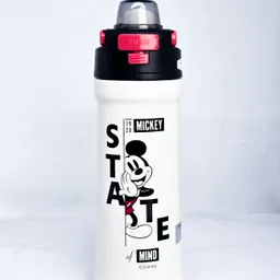 Disney Mickey Mouse Water Pot – 500ML (SUS 316)